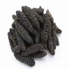 Dried Sea Cucumber Cheap High quality