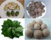 BETEL NUT, ARECA NUT