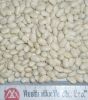 Sell White Kidney Beans. Japan Type