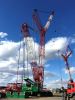 Popular ZOOMLION 180 Ton  Crawler Crane QUY180 Best Price for Sale