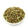 Wholesale Hemp seed Available in Stock