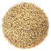 SORGHUM GRAINS