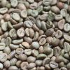 Robusta Coffee Beans and Arabica Coffee Beans