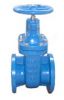 Resilient Seated Gate Valves