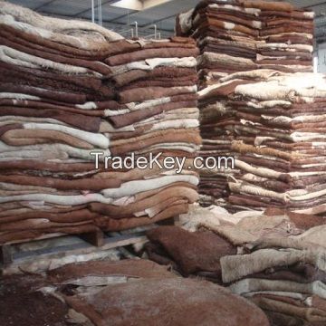 Premium Quality Donkey Hides, Cow hides, Cow head skin, Leather 