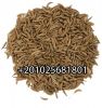 Cumin seeds