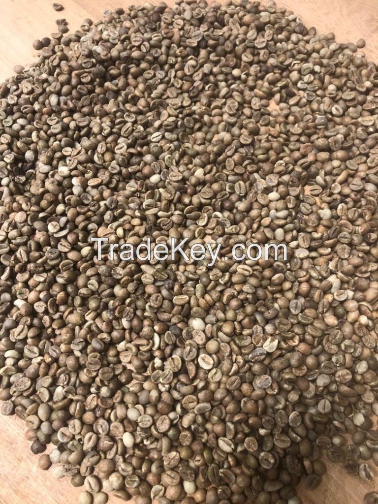 Robusta Coffee beans