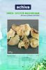 Dried Oyster Mushrooms