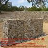 gabion mesh