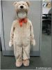 Teddy Bear Costume