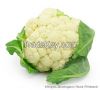 Fresh Cauliflower