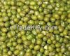 Mung Beans