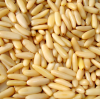 Pine Nut