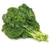 kale vegetable suppliers list