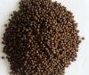 diammonium phosphate fertilizer