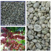 Arabica Coffee Beans