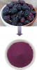 Mulberry fruit powder