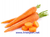 Carrots