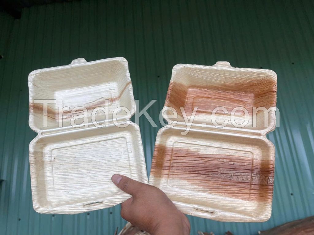 ECO BOX FROM BAGASSE AND ARECA SHELLS / SUSTAINABLE & BIODEGRADABLE / MADE IN VIETNAM