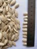 pumkin seed lady nail/pumkin seed fingers mrs for wholesale