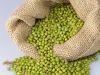 Best quality Mung beans