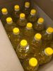 Sunflower Oil