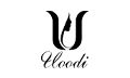 WenZhou Uoodi Home Appliance Co., Ltd.