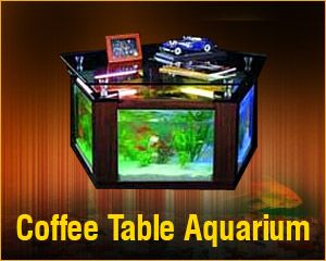 Coffee Table Aquarium