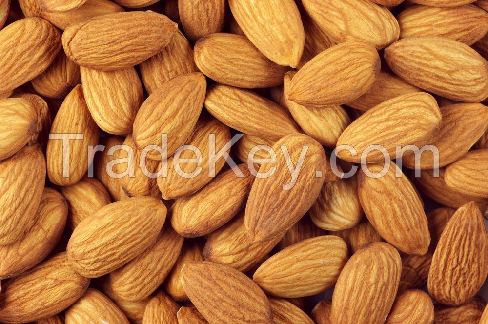 Almonds/Best Quality/ Competitive Price /Fast Delivery Time /Wholesale Supply.