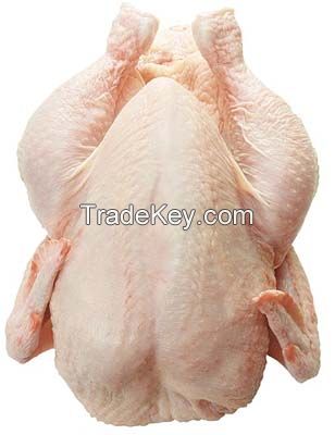 Frozen Whole Chicken, Frozen Chicken Grillers, Frozen Chicken Breast, Brazilian Whole Frozen Chicken