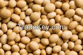 Soybean , soy bean, soya bean 5-8mm, Non GMO Soya beans