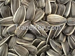 SUNFLOWER SEEDS FOR HUMAN CONSUMPTION