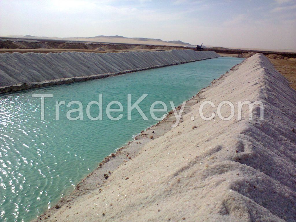 Best offer for new year 2016 ( raw salt )