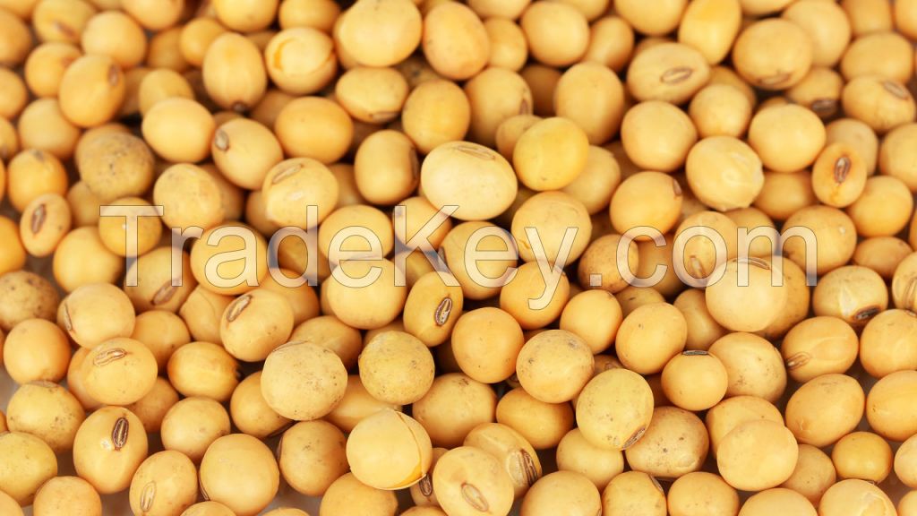 Soybean products