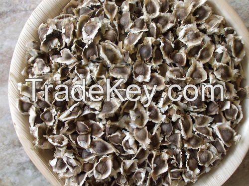 Moringa Seed