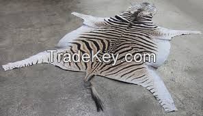 Zebra hides