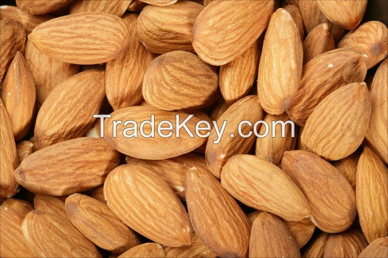 Almond Nuts