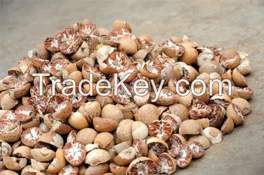 Organic Betel Nuts