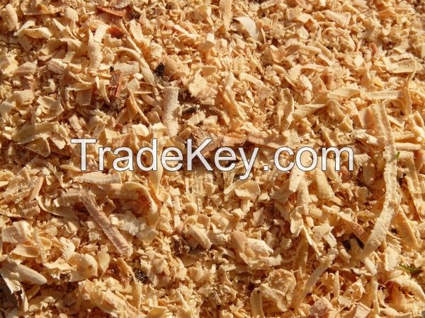 Wood Sawdust For Sale