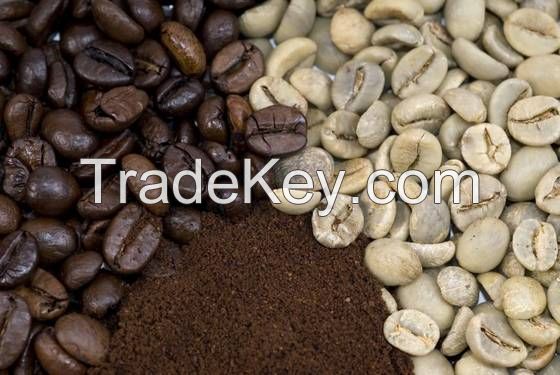 Grade A Robusta & Arabica Coffee Beans