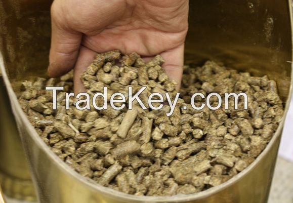 WHEAT BRAN PELLET