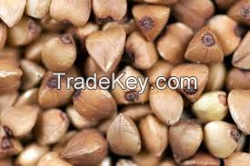 Hulled Buckwheat / Roasted Buckwheat