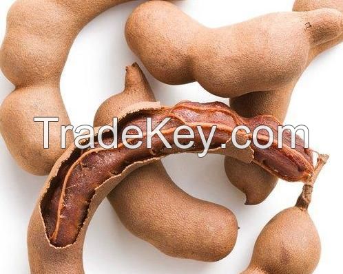 Sundry Tamarind Seed  and Tamarind Seed Powder