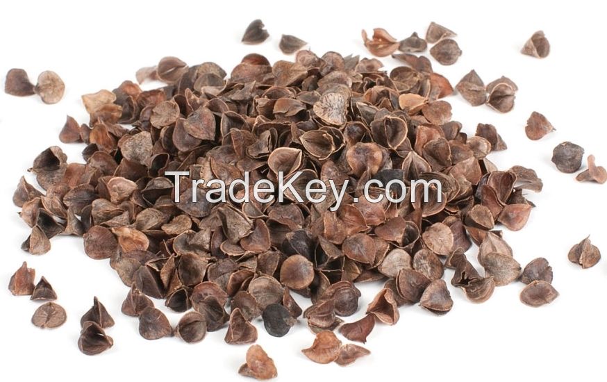 Buckwheat Husk for Sale