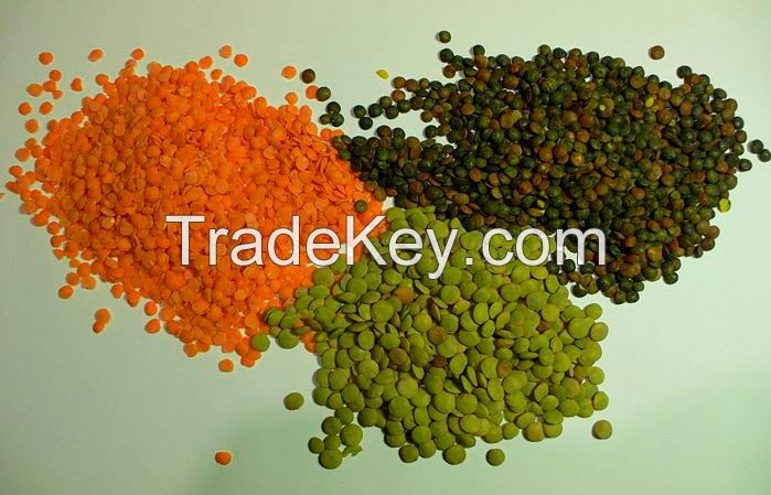 Red/Green Lentils for Sale