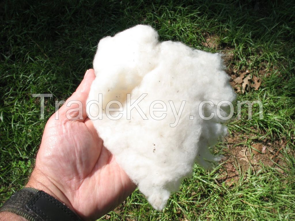 Raw Cotton