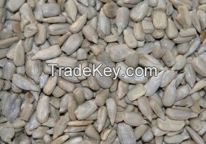 Sunflower Seeds Kernels