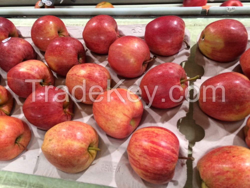 Fresh Red Royal Gala Apples