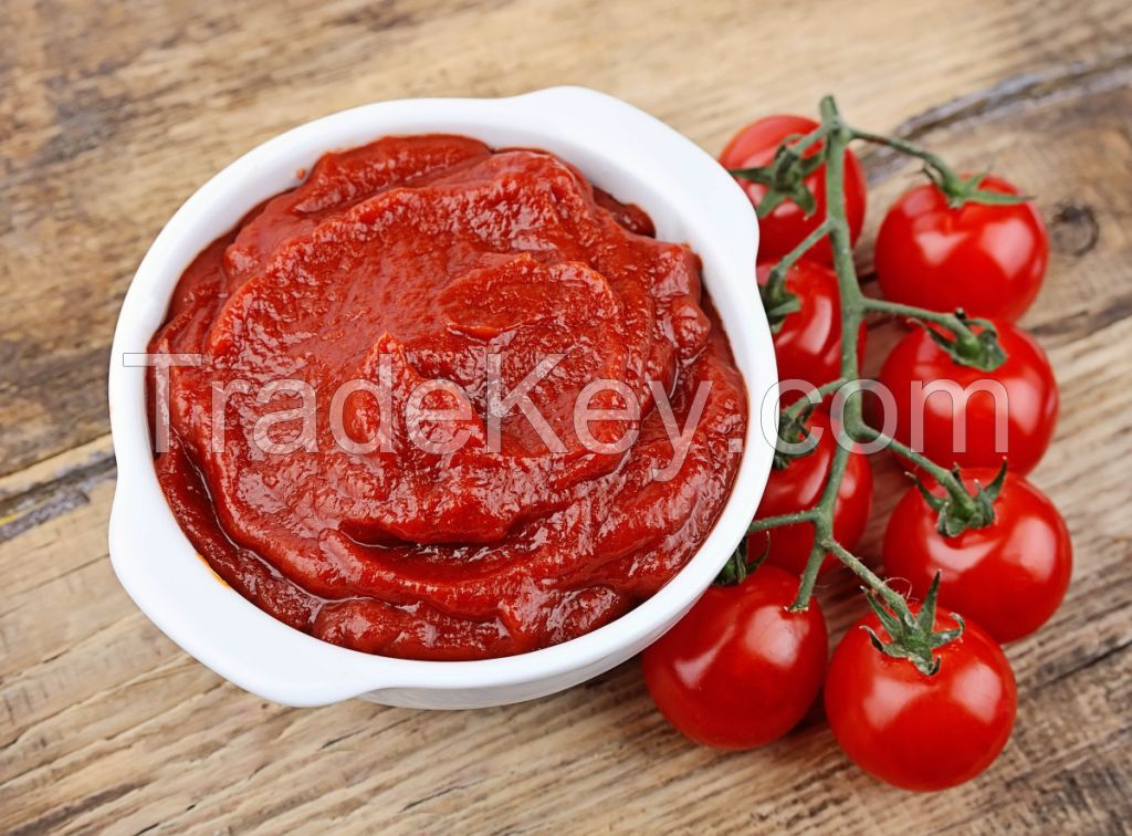 Tomato Paste for sale