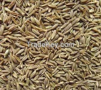 Cumin Seeds